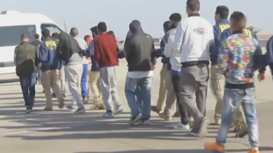 177 extranjeros deportados