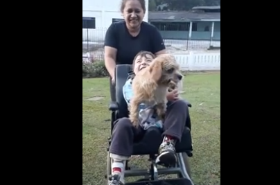 Video viral: el emotivo recibimiento de este perro a su dueño en silla de ruedas