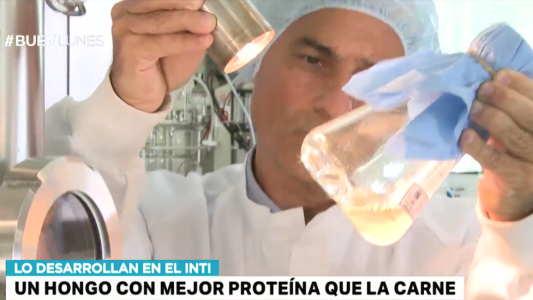 Increíble: un hongo con mejor proteína que la carne