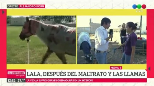 La conmovedora historia de Lala, la yegua que sobrevivió a las torturas y a las llamas