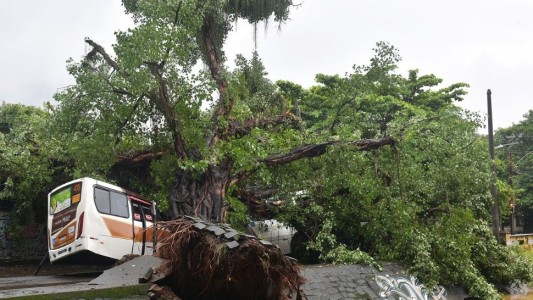 Las huellas del temporal trágico en Río de Janeiro