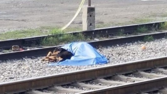 Fue atropellado por un tren en México y su perro se negaba a separarse del cuerpo