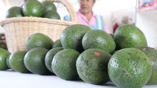 La paltas mexicanas amenazadas por Trump