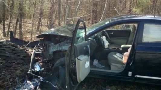 Una mujer entró en pánico por una araña y estrelló su auto contra un árbol