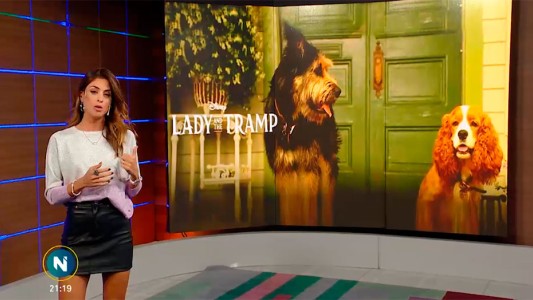 Clásicos que se vuelven modernos: "La Dama y el Vagabundo"