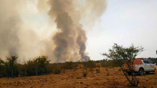 Multa millonaria para dos jóvenes que hicieron un asado y quemaron 1.000 hectáreas de campo