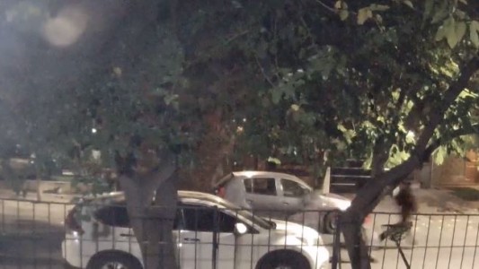 Así de rápido actúan los roba ruedas