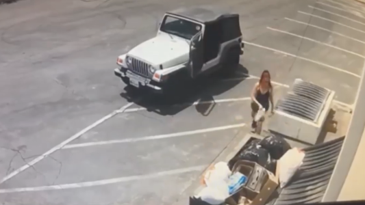 Arrestada por tirar 7 cachorritos vivos a la basura