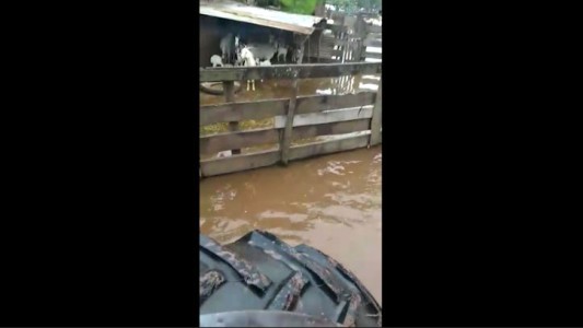El drama de los productores por la inundación en Chaco