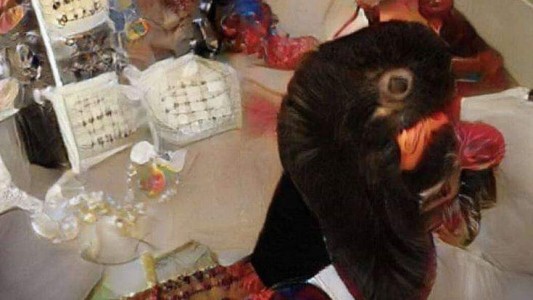 La foto "inentendible" que angustia a las redes sociales