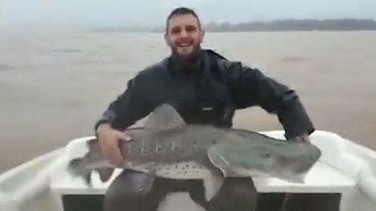 Así pescó un surubí de 40 kilos y lo devolvió al río