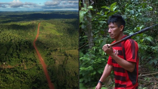 La Amazonía brasileña en peligro por la deforestación