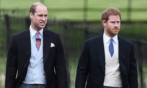 ¿Por qué se pelearon el príncipe William y su hermano Harry?