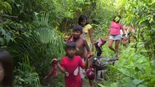 Indígenas brasileños, entre el aislamiento y la modernidad