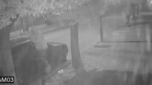 Abrió un auto y robó cosas de su interior en dos minutos