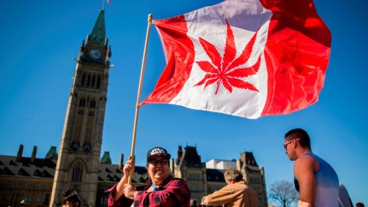 El número de consumidores de marihuana aumentó en Canadá desde la legalización