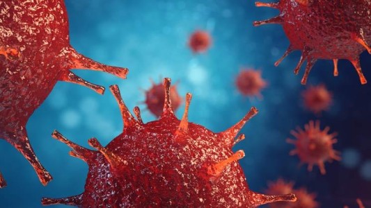 Descubren que hombres bajo tratamiento detienen la transmisión del sida