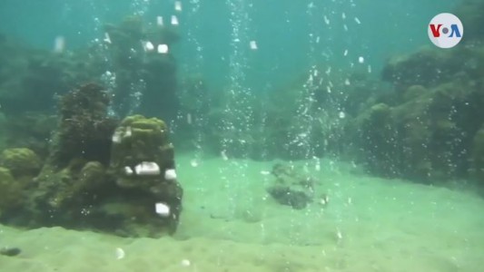 Inédito: intentan enterrar dióxido de carbono en el lecho marino