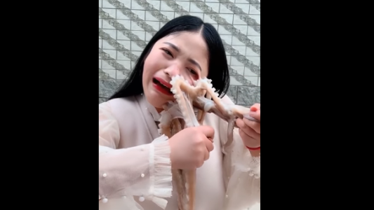 Video viral: una bloguera quiso comerse un pulpo vivo pero no salió bien