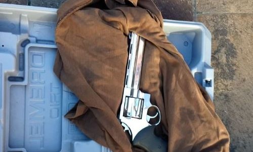 Así es el arma con la que detuvieron a Francisco Muñiz en la Casa Rosada