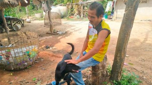 Ping Pong, el perro que rescató a un bebé enterrado vivo por su madre