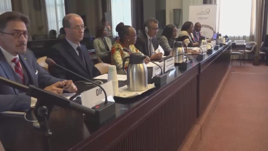 Oficial: se acabó la malaria en Argentina