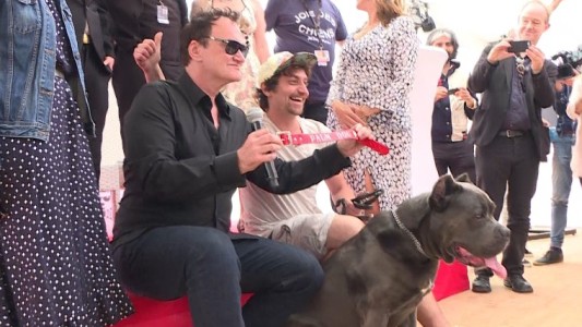 Brandy, la perra que ganó como mejor intérprete canino en el Festival de Cannes