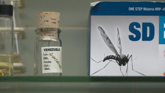 El drama de la malaria en Venezuela