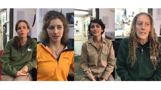 Exclusivo web: estas son las "Guerreras" que luchan contra la extinción del cóndor andino