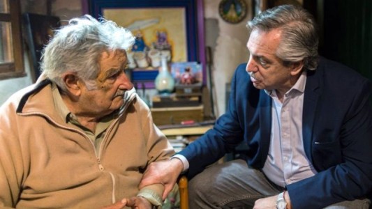 Alberto Fernández: "Estoy dispuesto a competir con Massa en una PASO"