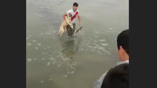 Un jóven se metió a la laguna congelada a salvar un perro
