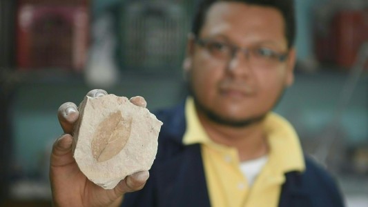 Hallan fósiles de 3 millones de años en El Salvador