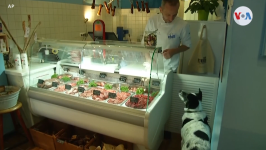 Insólito: abrió una carnicería solo para perros