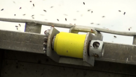 Pánico por vuelco de camión con abejas