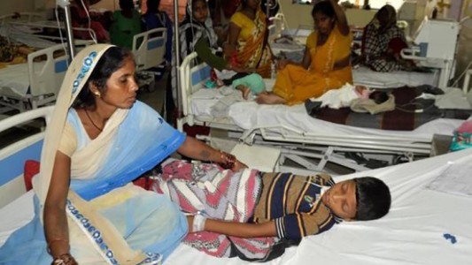 Murieron 31 niños en la India por una enfermedad vinculada a una fruta tropical