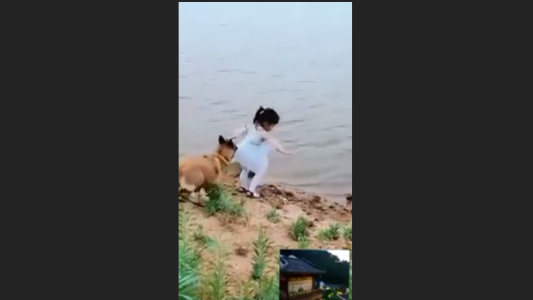 Un perro le salva la vida a una nena al evitar que caiga al río