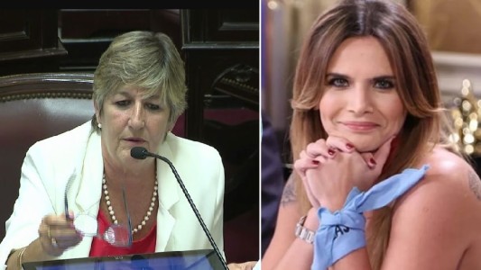 Amalia Granata diputada: preocupación por representación legislativa de "pañuelos celestes"