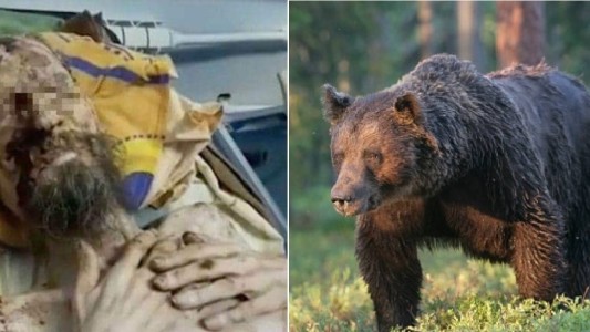 Hallaron una "momia" en una cueva: era un hombre vivo que fue atacado por un oso