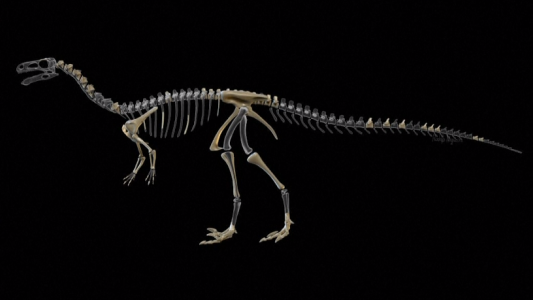 Descubren una nueva especie de dinosaurio en Brasil