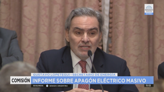 Lopetegui: "hubo un error operativo de la empresa Transener"