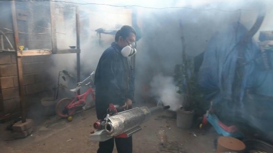 Emergencia sanitaria por muertes por dengue en Honduras