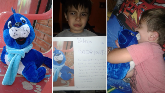 Video conmovedor: Lautaro perdió su peluche en el tren y pide ayuda para recuperarlo