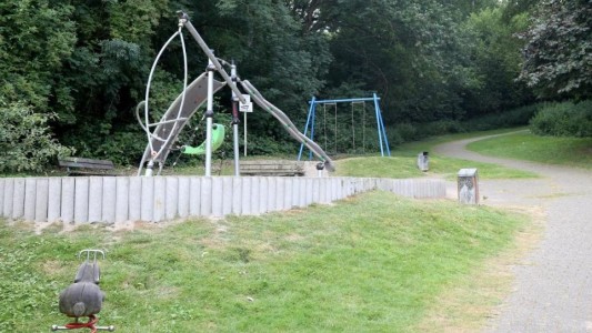 Conmoción en Alemania: cinco chicos de 12 y 14 años violaron en grupo a una joven discapacitada