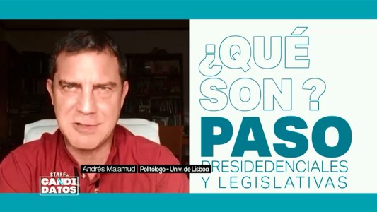 ¿Qué son las PASO y para qué funcionan?