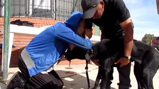 VIDEO: la emoción de un joven cuando se reencuentra con Piaf, su perra extraviada