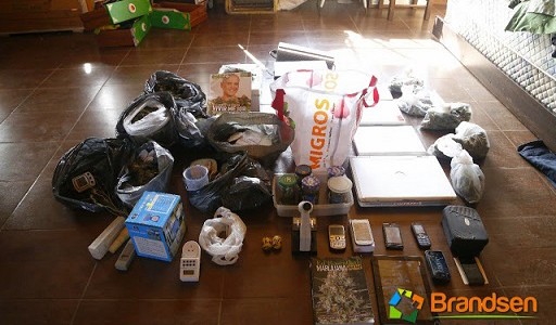 Detuvieron a un suizo que tenía un vivero de marihuana en Brandsen
