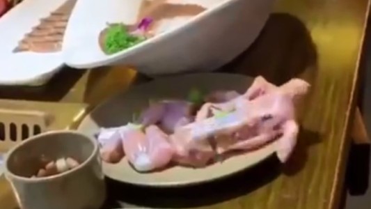 Video: el extraño pollo que estaba tan crudo que se escapó del plato