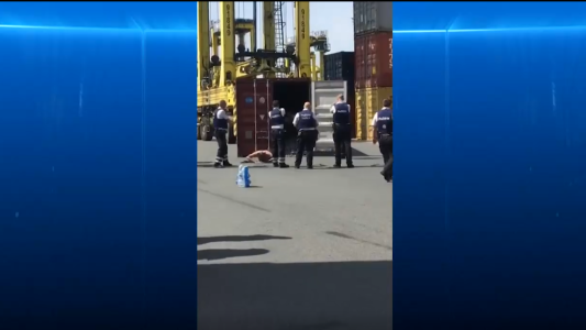 Traficantes piden auxilio al quedar encerrados en container lleno de cocaína