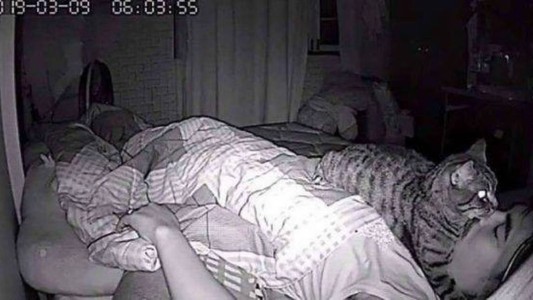 Puso una cámara oculta y descubrió la razón por la que no dormía bien
