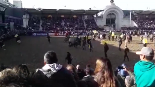 El momento en que los veganos ingresan a protestar a La Rural